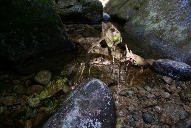 Stawamus Chief