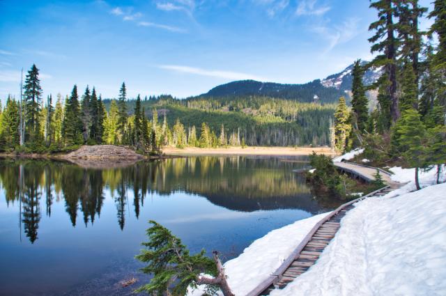 Paradise Meadows Trailhead