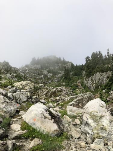 Mt Seymour Trail