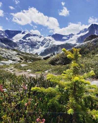 Wedgemount Lake