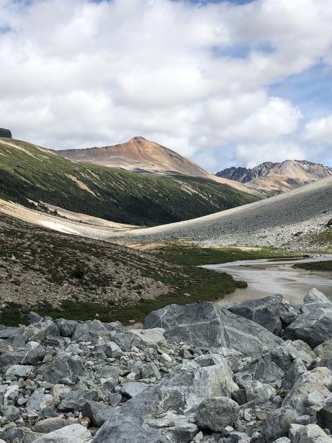 Athelney Pass