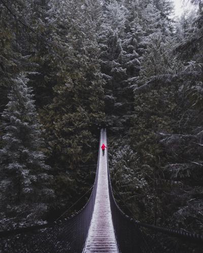 Twin Falls In Lynn Canyon