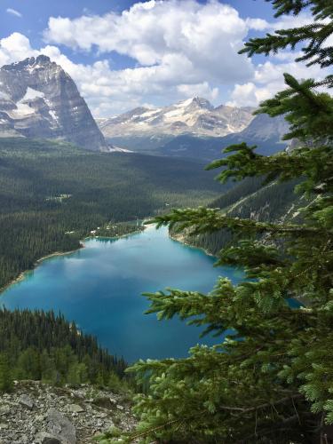 Lake O'hara Alpine Circuit