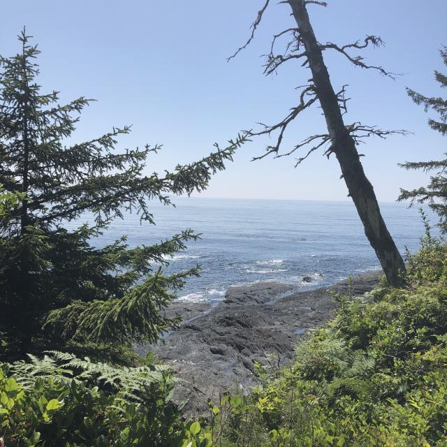 Juan De Fuca Trail