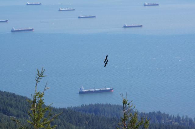 Eagle Bluff Trail