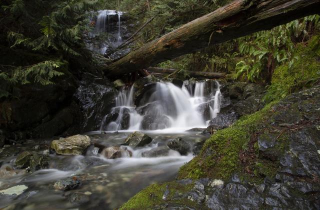 West Canyon Trail