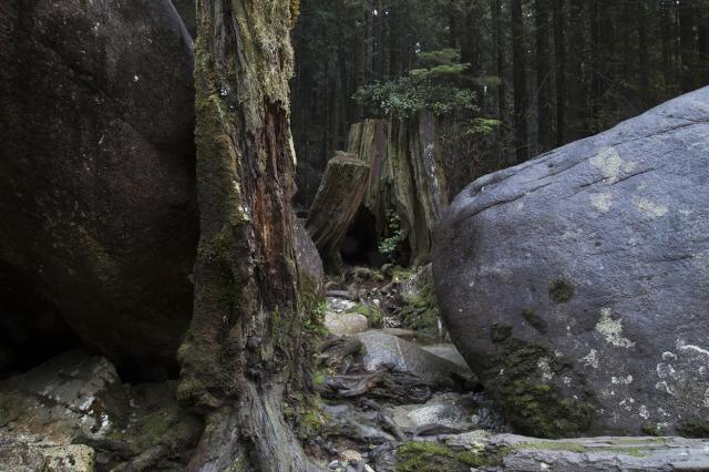 Gold Creek Lower Falls Trail