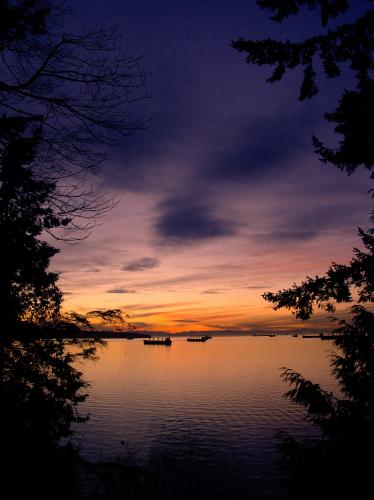 Stanley Park Trail