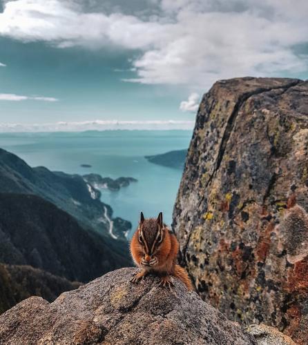 St Mark's Summit