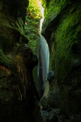 Juan De Fuca Trail