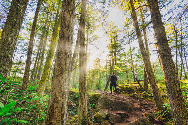 Hiking Rays