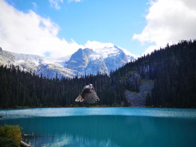 Joffre Lakes Provincial Park