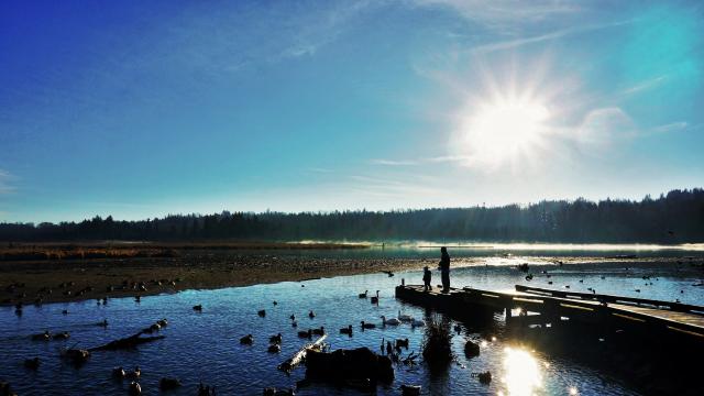 Burnaby Lake