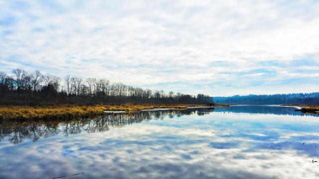 Burnaby Lake