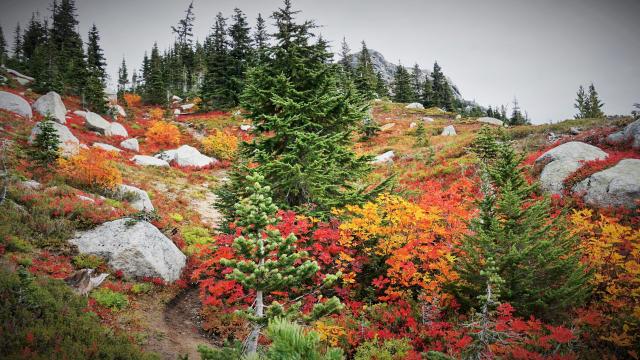 Flatiron Trail