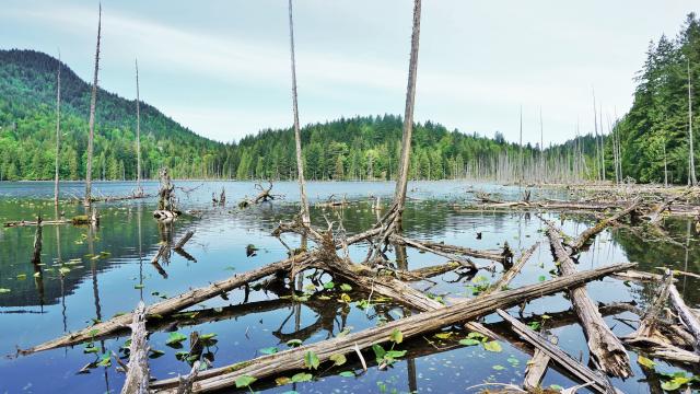 Killarney Lake