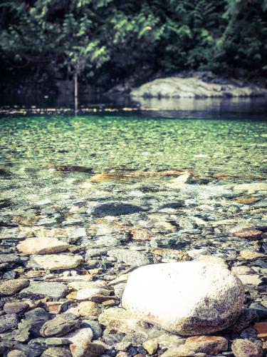 Lynn Canyon Park - The Rock