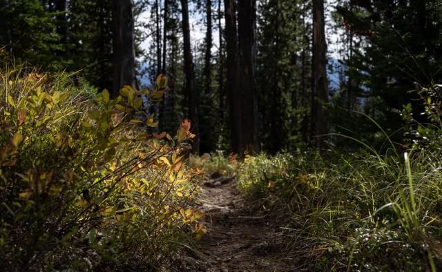 Frosty Mountain Loop