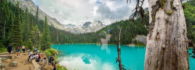 Joffre Lakes Trail