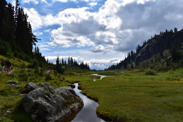 Brandywine Meadows