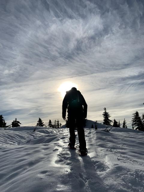 Hollyburn Peak Trail