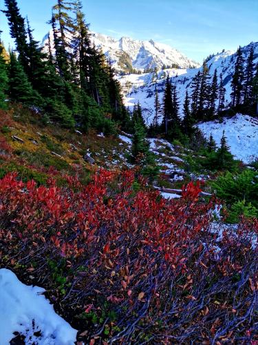 Chain Lakes Loop Photo Hiking Photo Contest Vancouver Trails