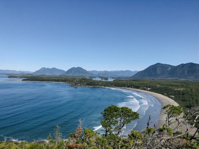 Cox Bay Lookout