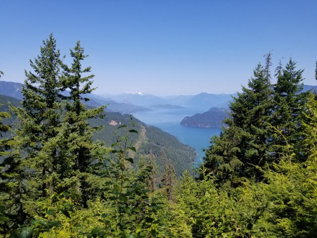 Campbell Lake Trail