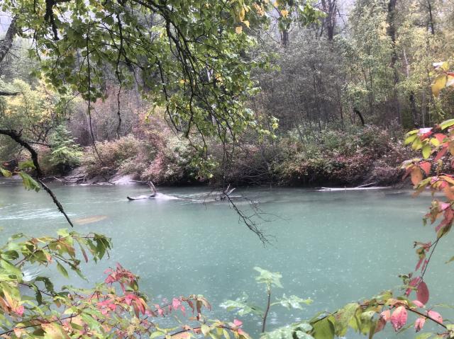 Stein Valley Trail