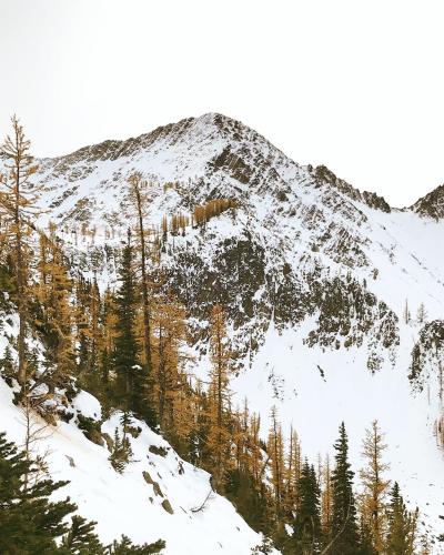 Frosty Mountain