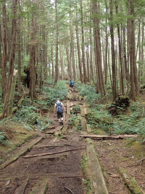 Cape Scott And The North Coast Trail