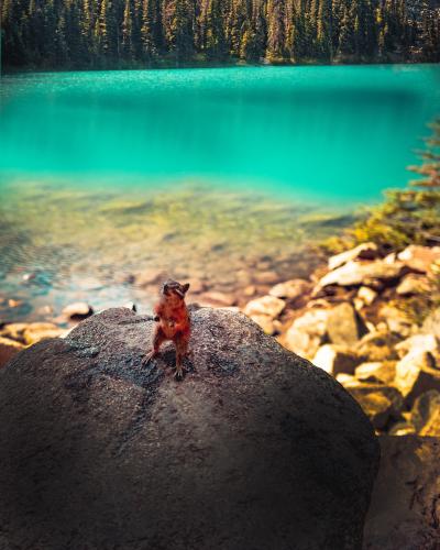 Joffre Lakes