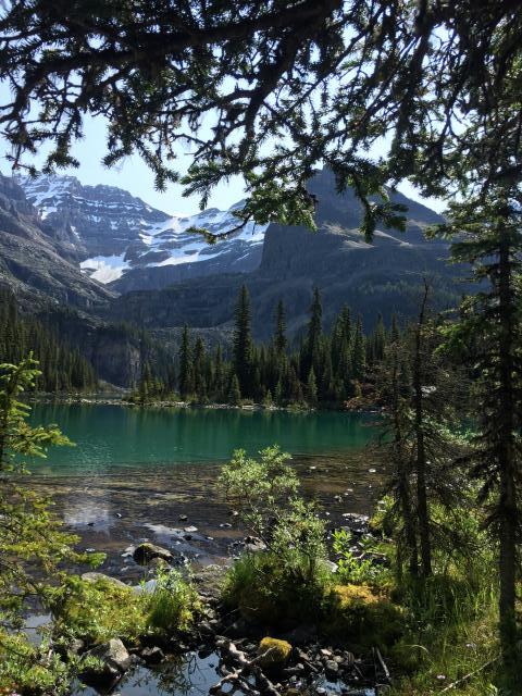 Lake O’hara Trail