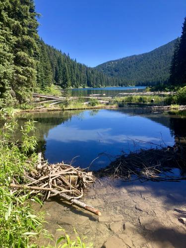 Lightning Lake Loop