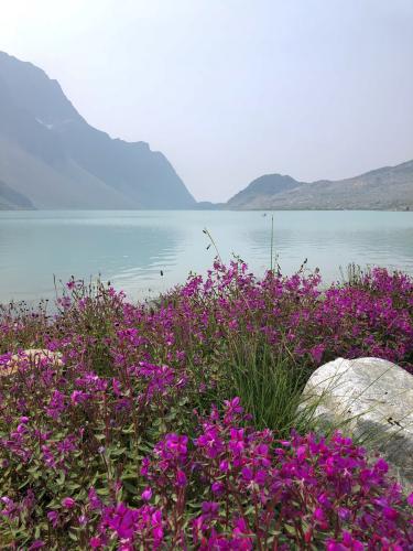 Wedgemount Lake