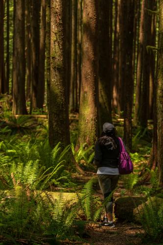 Golden Ears Canyon Loop