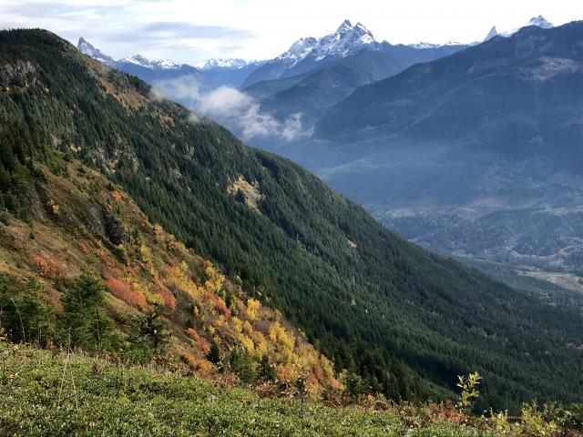 Elk Thurston Trail