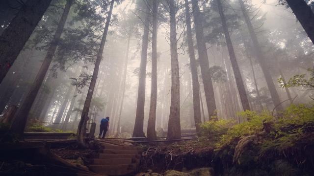 Grouse Grind