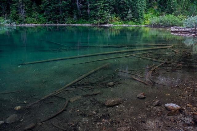 Flora Lake Loop