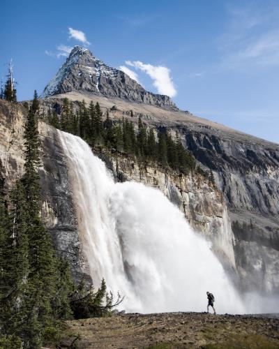 Berg Lake Trail