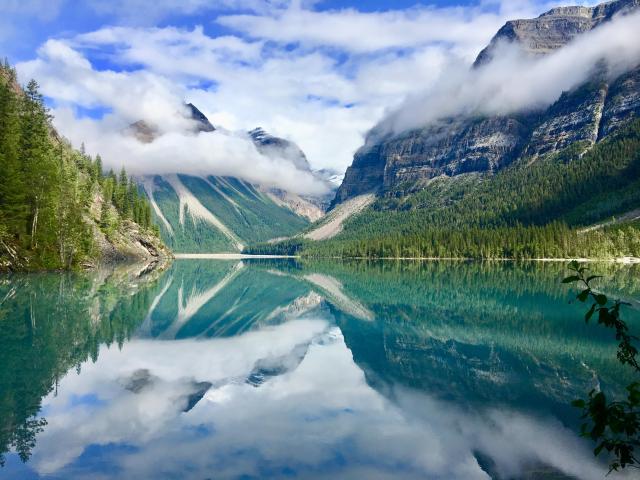 Berg Lake Trail