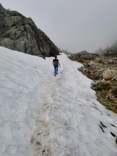 Mount Seymour Trail