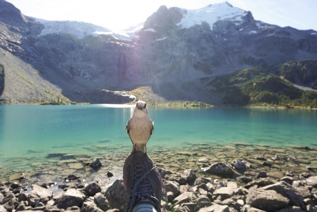 Joffre Lake