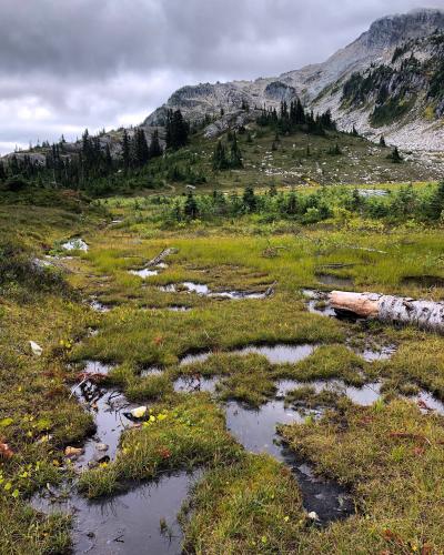 Iceberg Lake