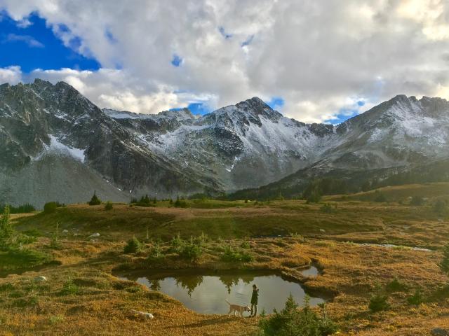 Downton Peak Trail