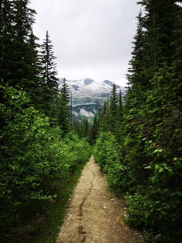 Kokanee Glacier Hike