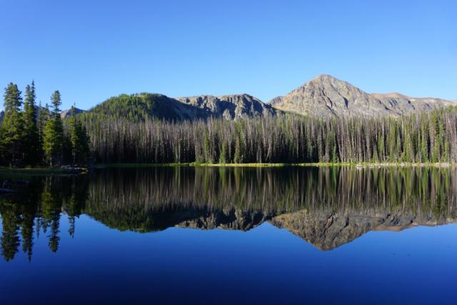 Lake Of The Woods