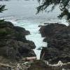 Pacific coast trail