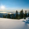 Mt Seymour