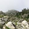 Mt Seymour trail